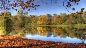 осень, лес, озеро, листья, отражение