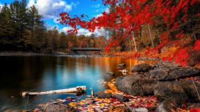 осень, листья, река, мост