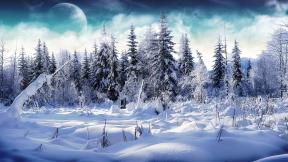 зима, снег, лес, планета, зимний лес