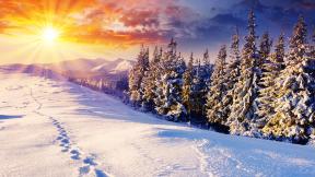 зима, снег, закат, следы, зимний лес