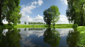озеро, деревья, лето, отражение