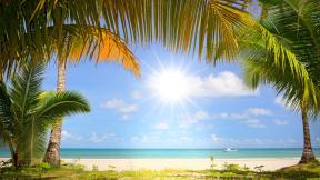 пальмы, солнце, пляж, море