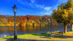 осень, фонарь, озеро, скамейка, дерево, лес